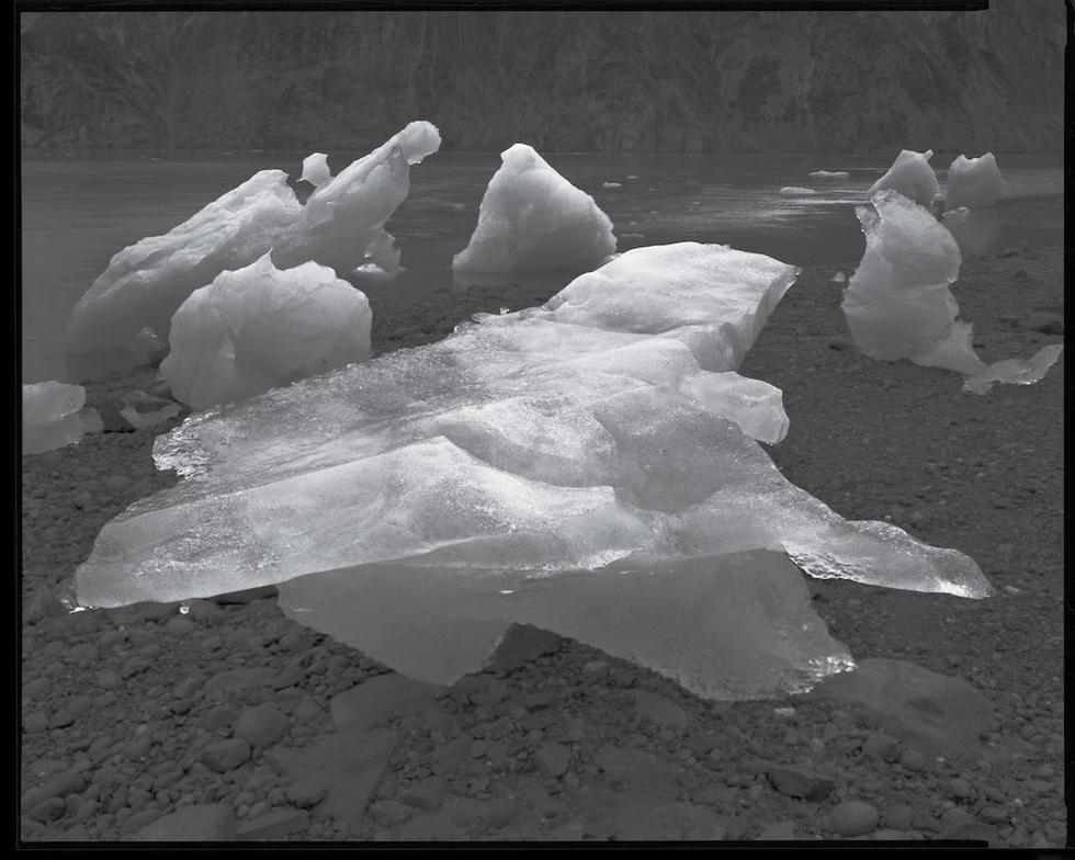 Glacier Bay Platinotypes 04
