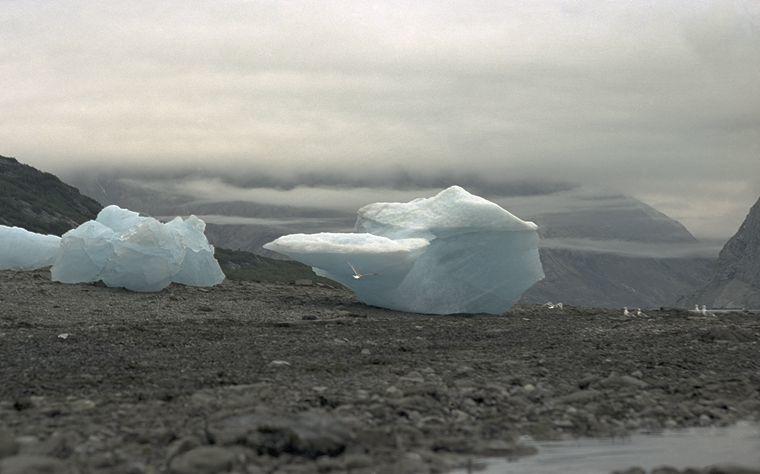 Glacier Bay Color Kodachromes 19