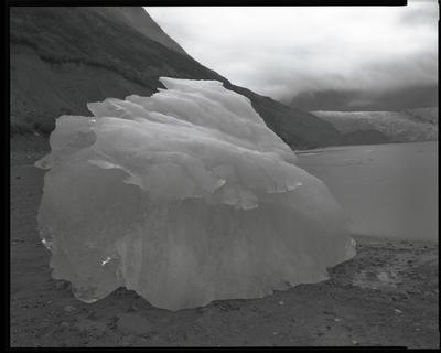 Glacier Bay Platinotypes 02