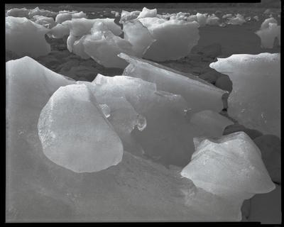 Glacier Bay Platinotypes 06